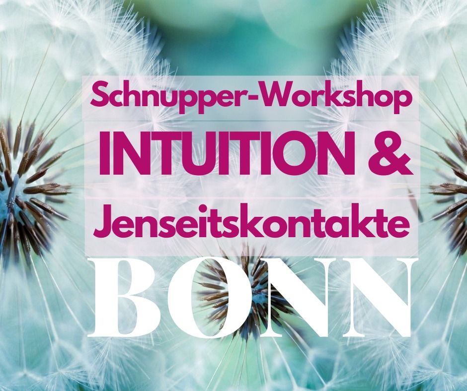 Schnupper-Workshop Intuition & Jenseitskontakte