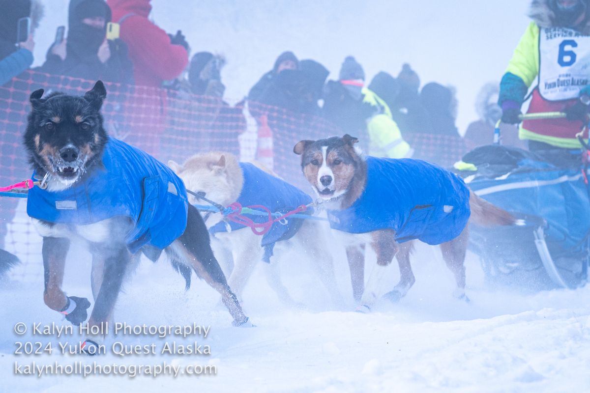 Yukon Quest Alaska 2025 Race Start at Morris Thompson Cultural and Visitor's Center in Fairbanks, AK