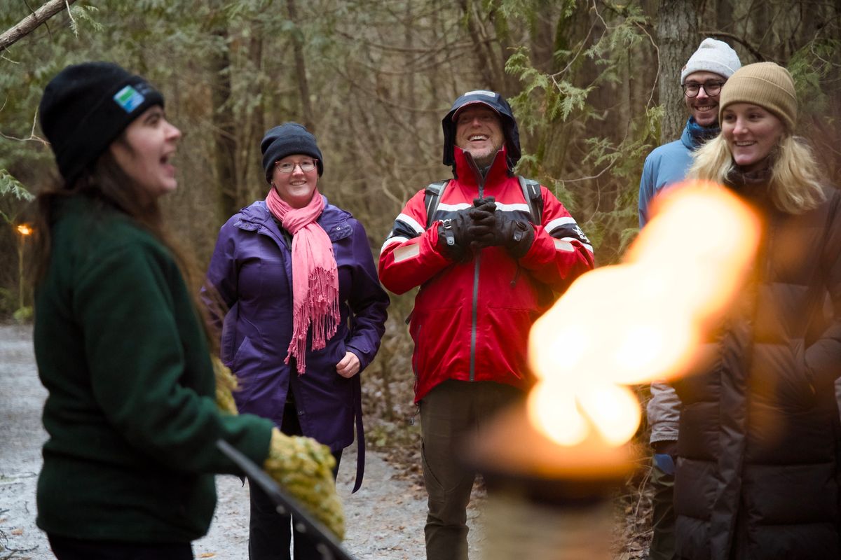 Fire and Stars Torch-lit Walk