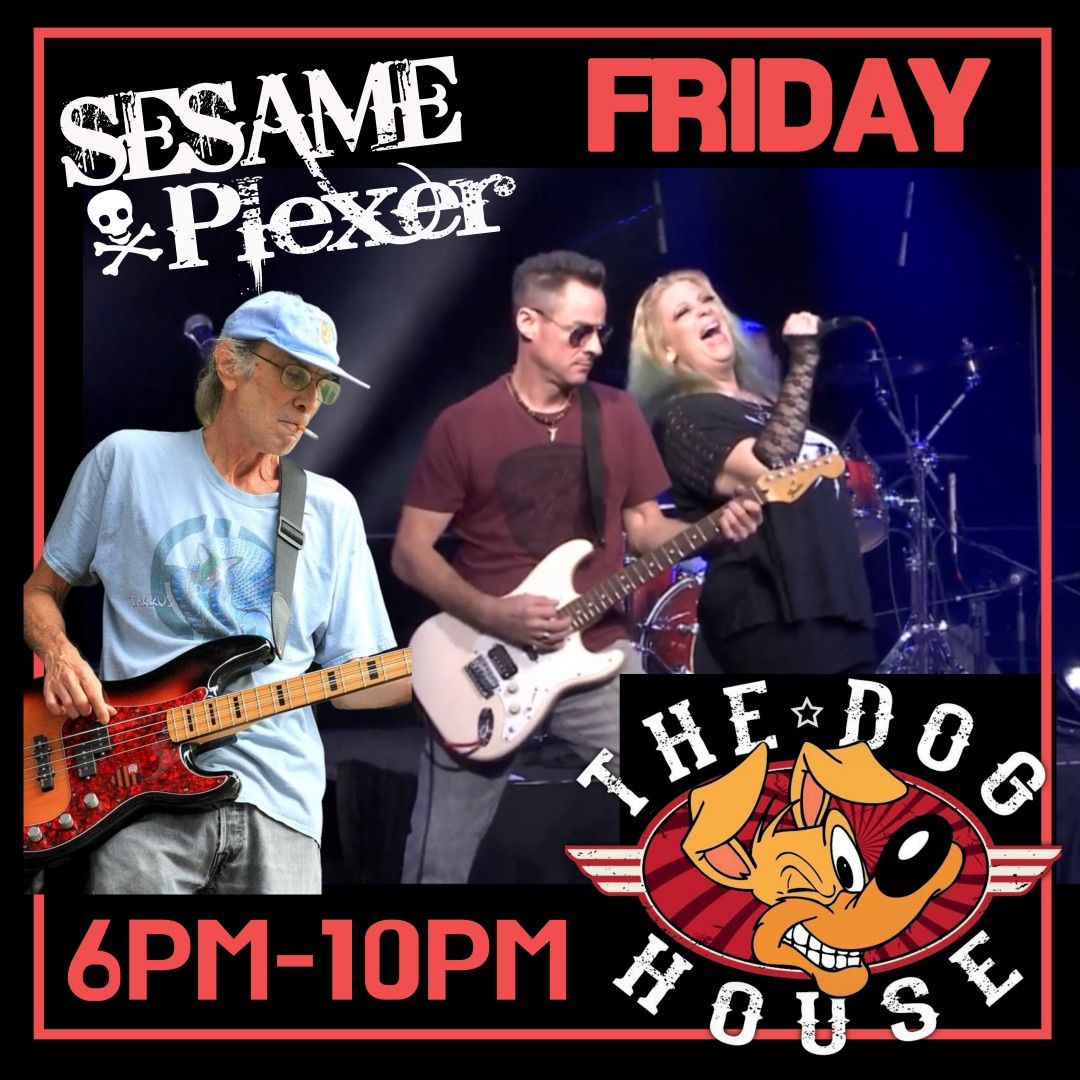 SESAME PLEXER returns to rock the DOGHOUSE 