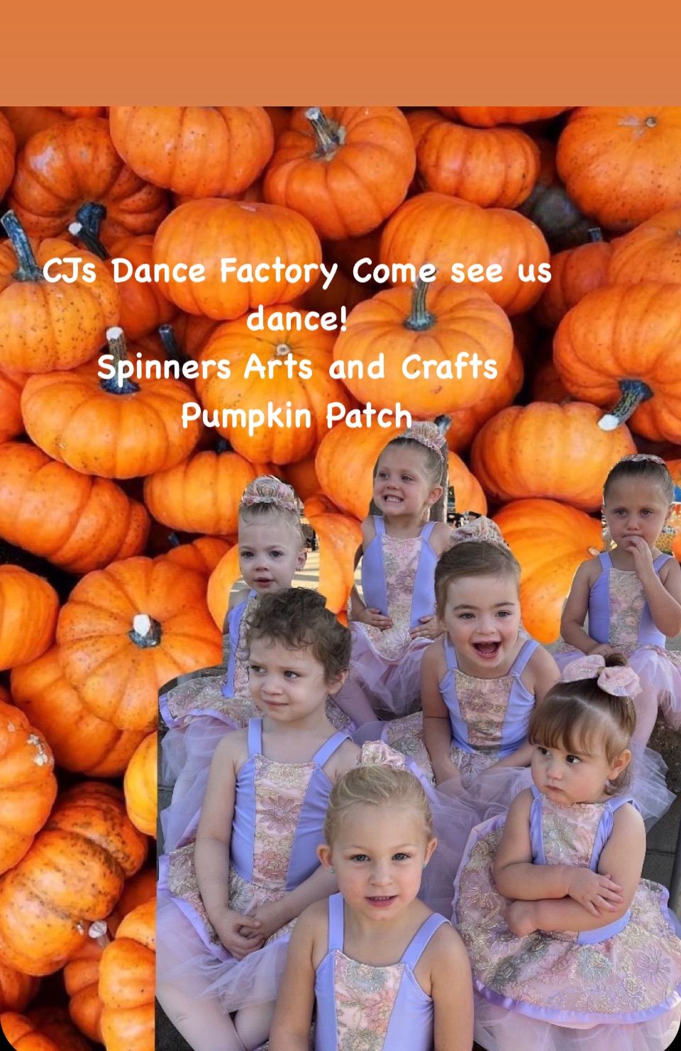 Spinners Arts and Crafts Pumpkin Patch