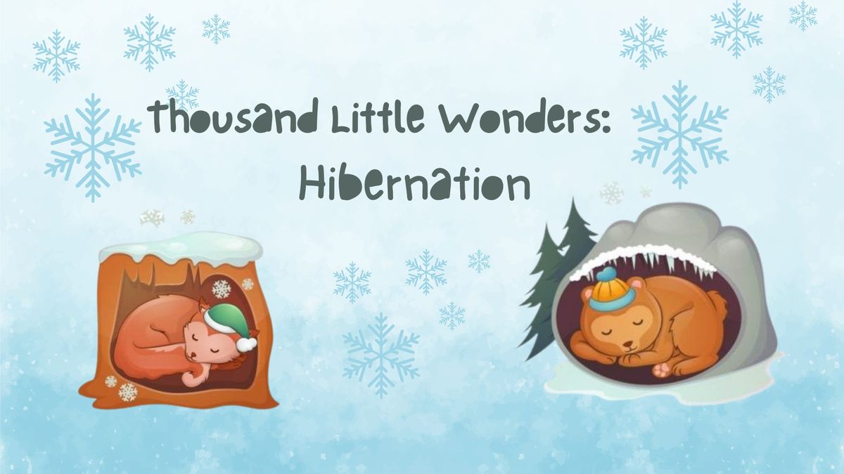 1000 Little Wonders: Hibernation