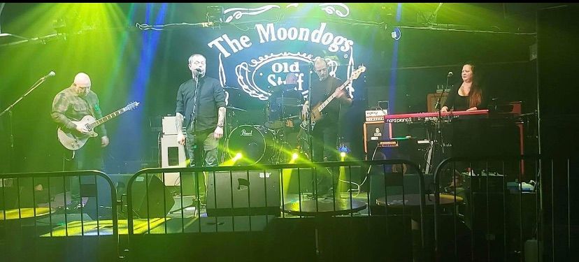 the moondogs 