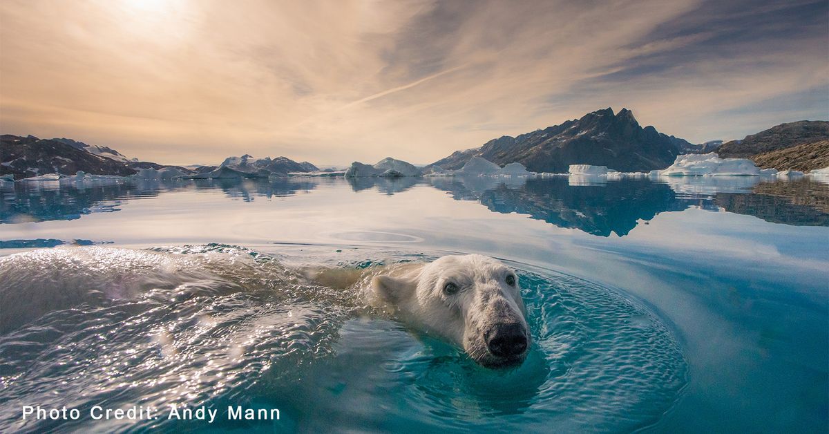 National Geographic Live - From Summit to Sea