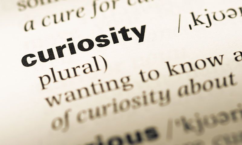 Curiosity Group - Adult Discussion Group