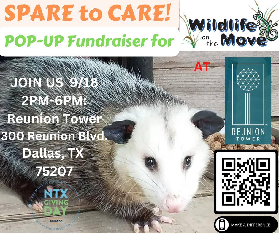 Wildlife On The Move POP-UP FUNDRAISER at Reunion Tower for North Texas Giving Day (Dallas, TX)