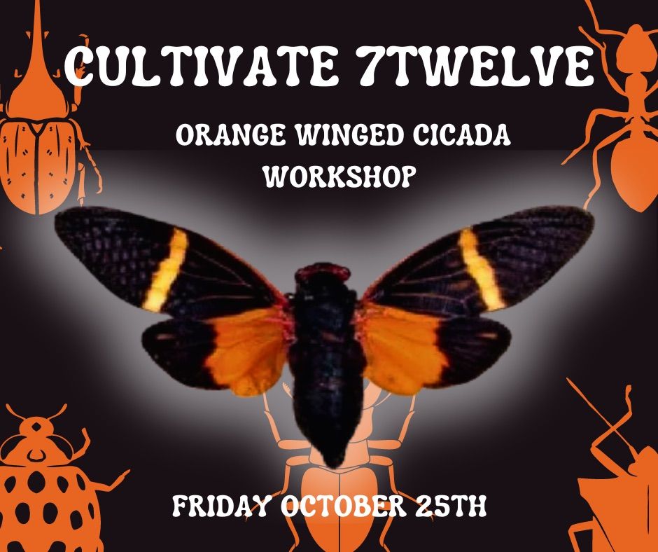 Halloween Cicada Pinning Workshop @ Cultivate7Twelve