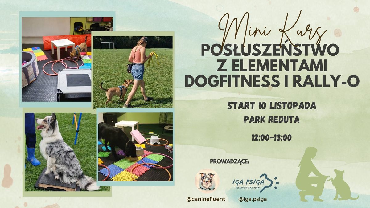 Kurs grupowy-Pos\u0142usze\u0144stwo z elementami Dogfitness i Rally-O