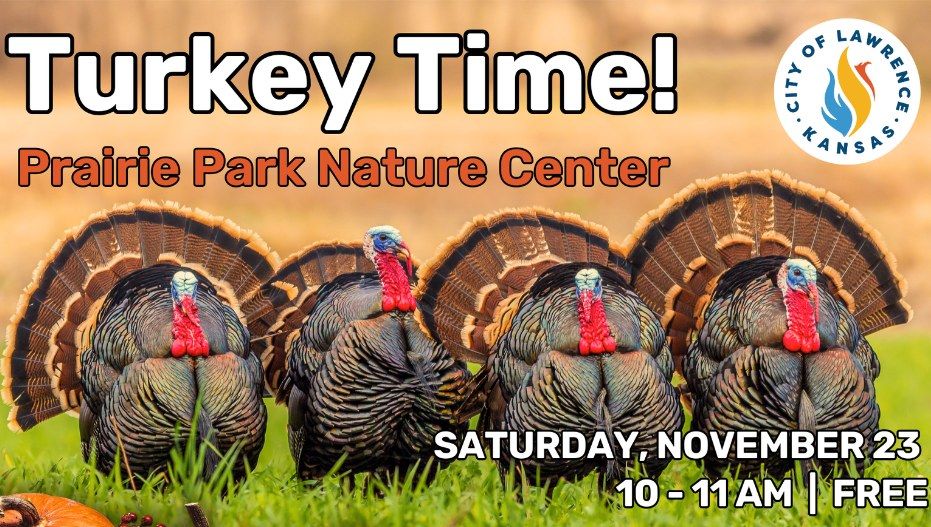 Turkey Time at the Nature Center