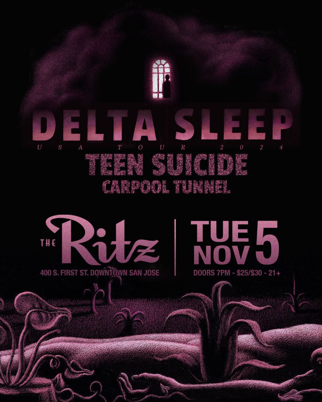 DELTA SLEEP + Teen Suicide + Carpool Tunnel - The Ritz