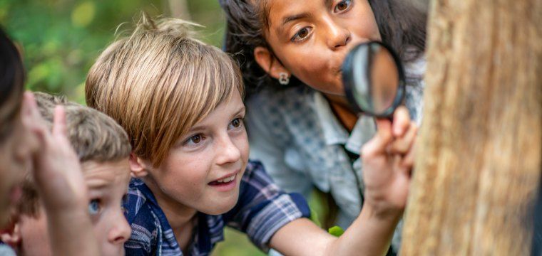 Celebrate Nature Play 