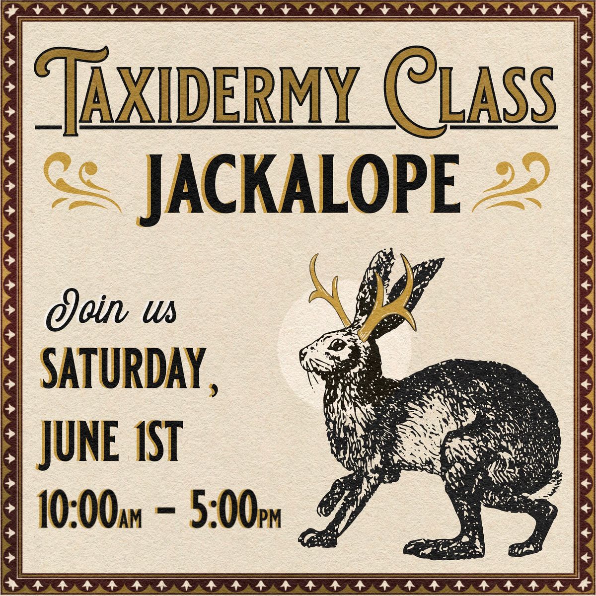 Taxidermy Jackalope Class
