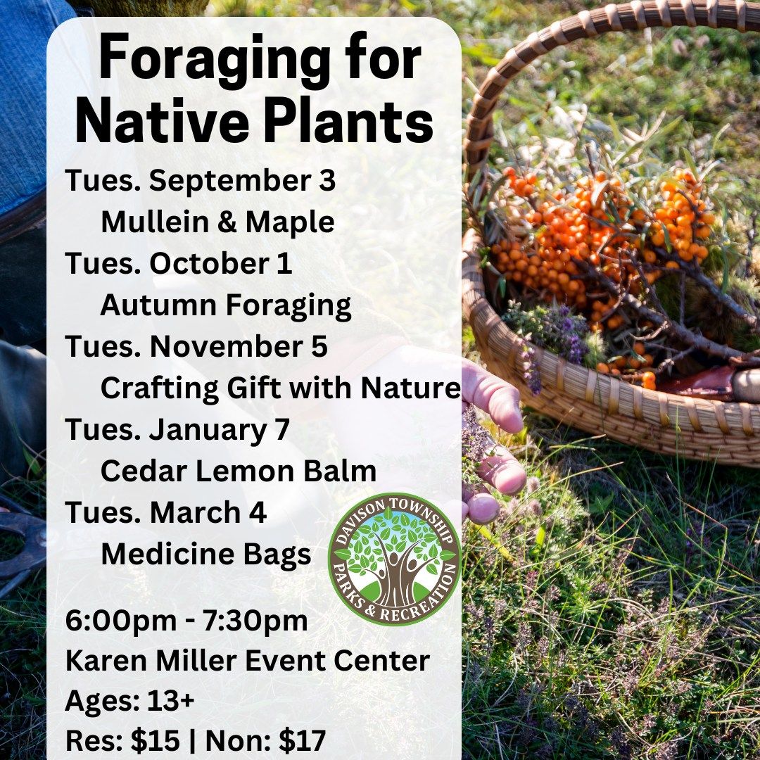 Foraging for Native Plants