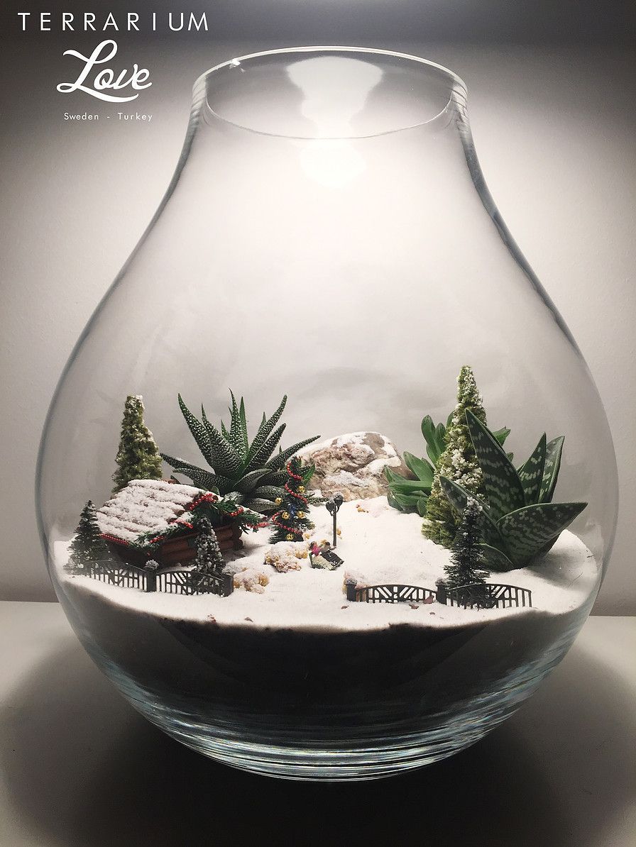  Terrarium Time! Christmas Edition