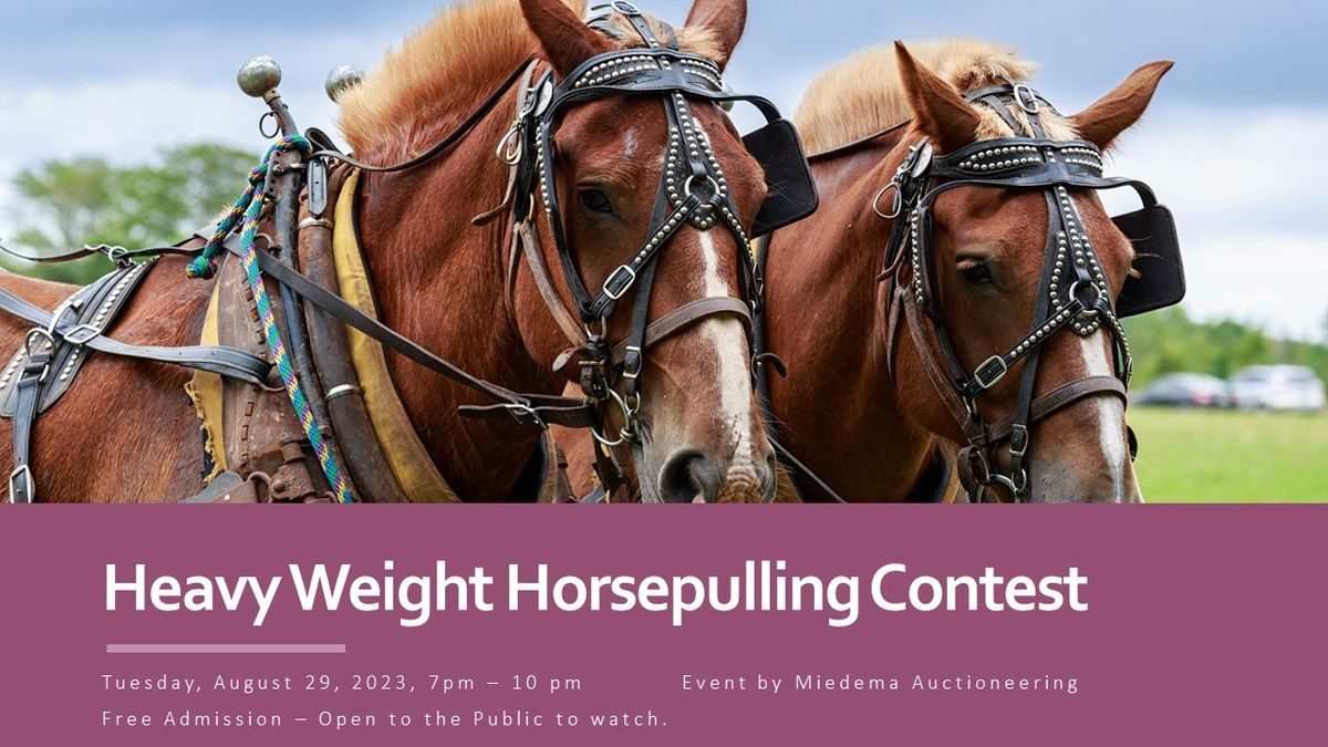 Heavy Weight Horsepulling Contest