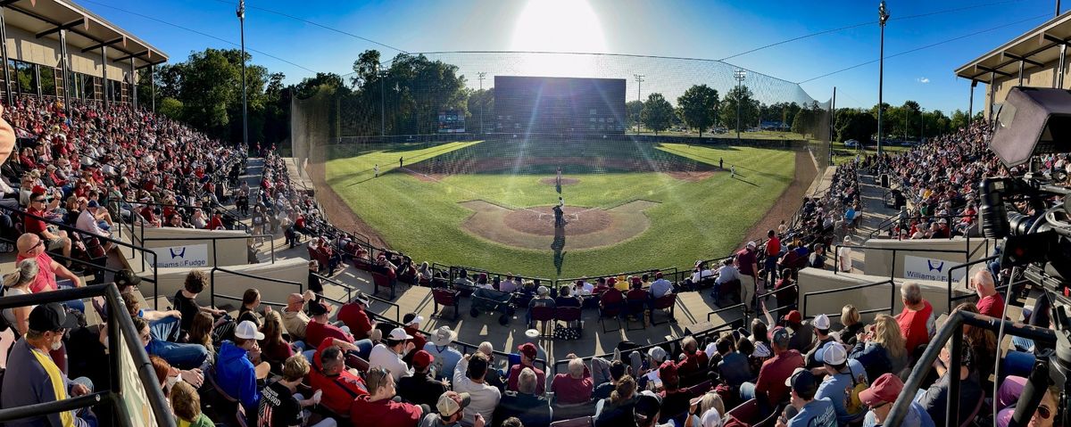 Winthrop Eagles at Clemson Tigers Baseball