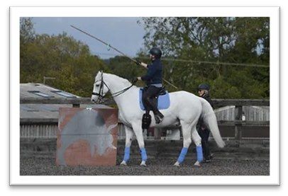 Working Equitation Clinic with Jane Dawson.- Pairs or individual lessons