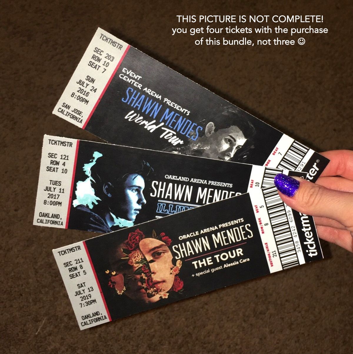 Shawn Mendes at TD Garden