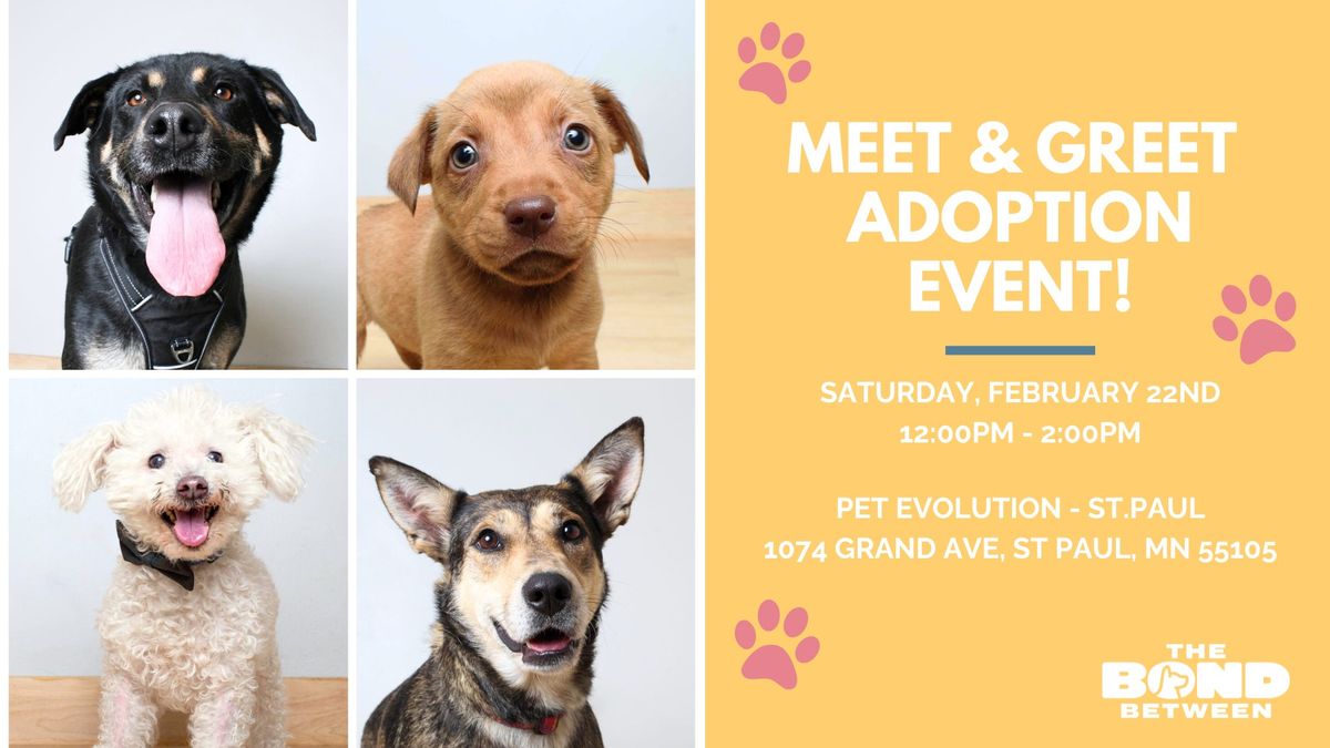  Dog Adoption Event @ Pet Evolution St.Paul!