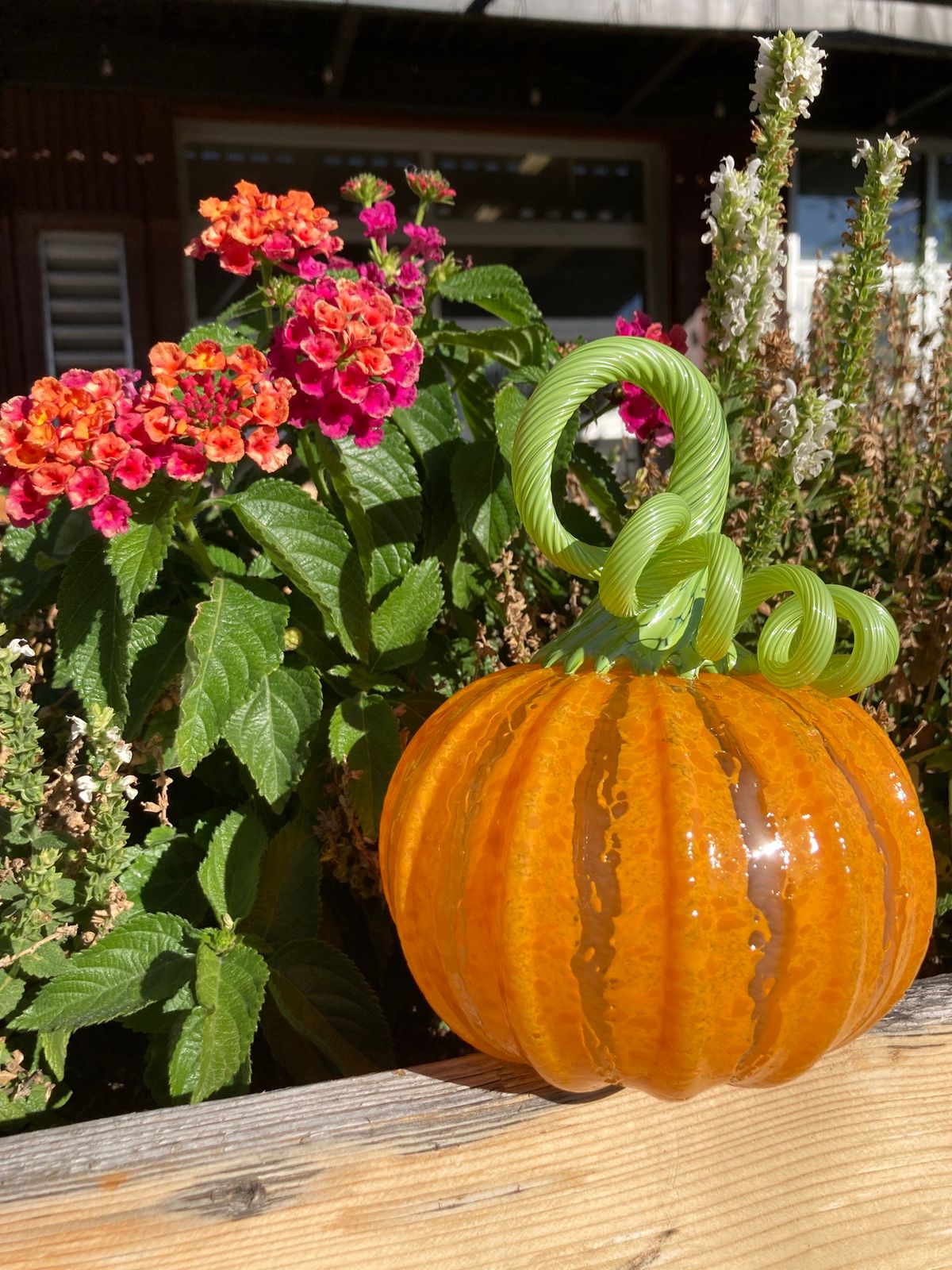 Glass Pumpkin Patch 