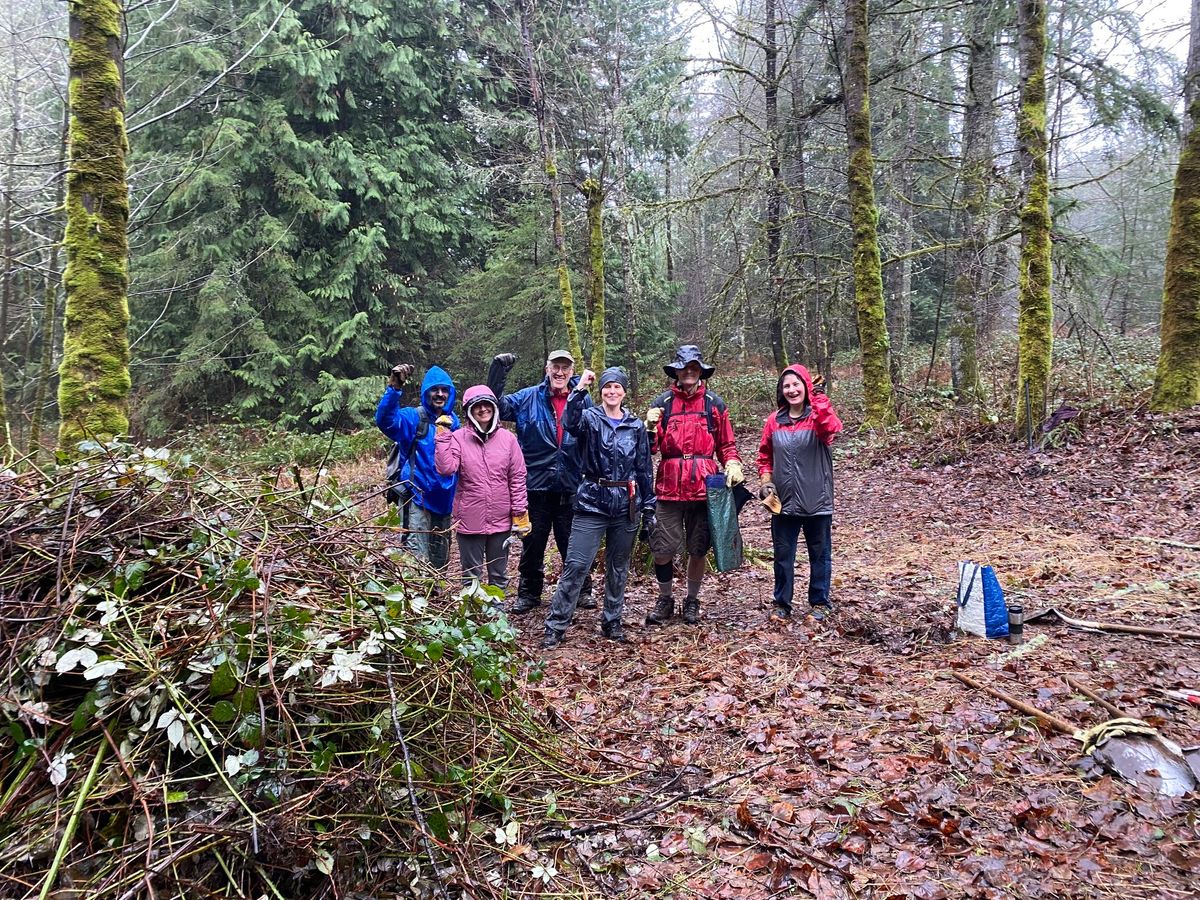 Restoration Event with King County Parks at Big Tree Ridge Trailhead