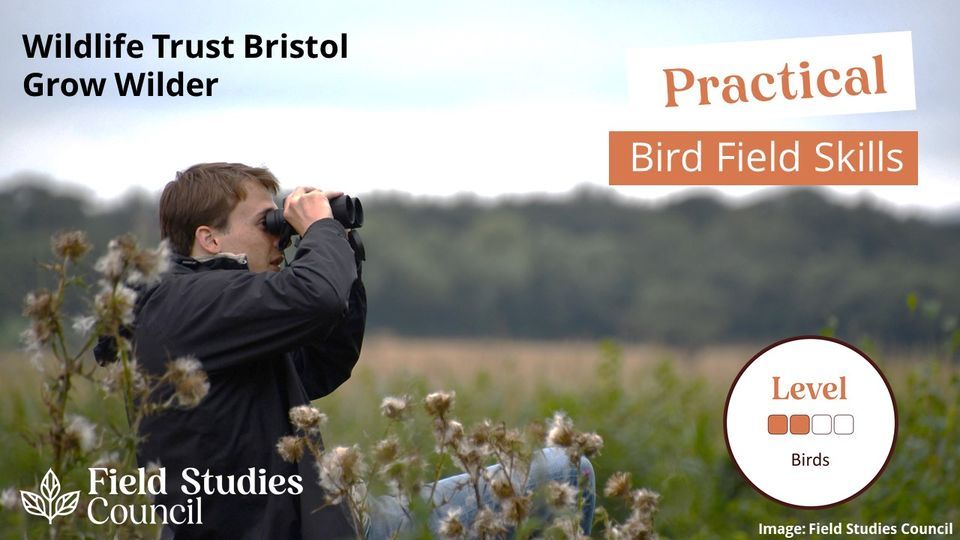 Practical Bird Field Skills in Bristol