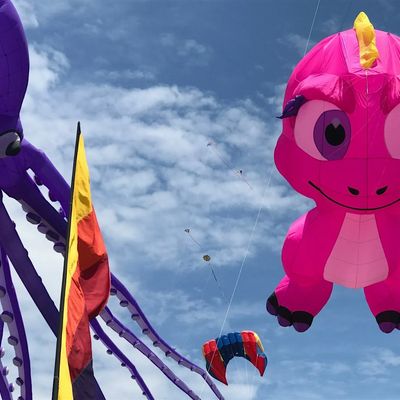 Newport Kite Festival