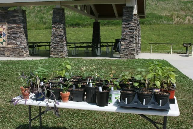 Spring 2025 East Tennessee Plant Swap