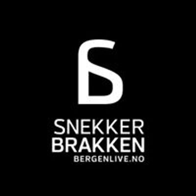 Snekkerbrakken