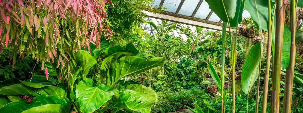 Garden Tour Education Greenhouses