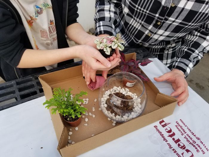 Terrarium Workshop - 2\/1 @12pm