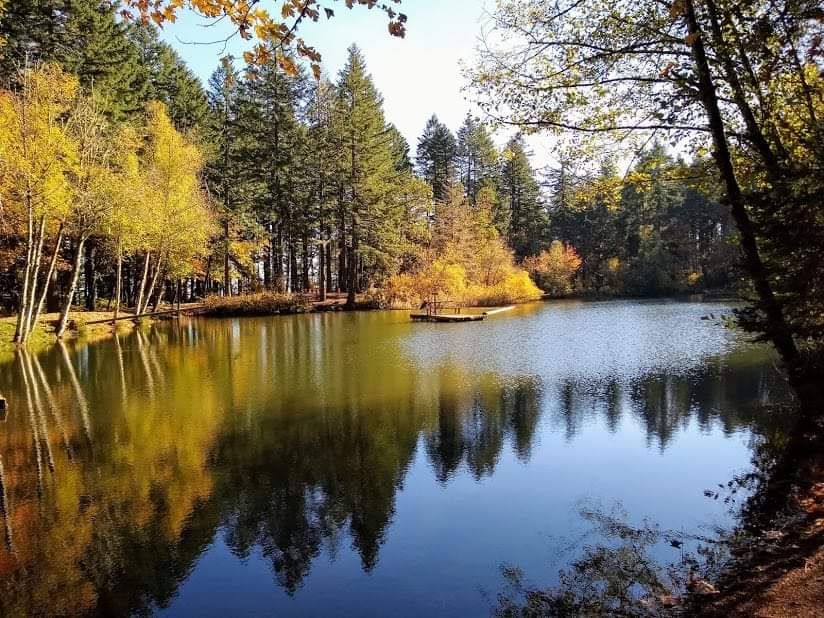 Witch Walk -Peavy Arboretum (Corvallis)