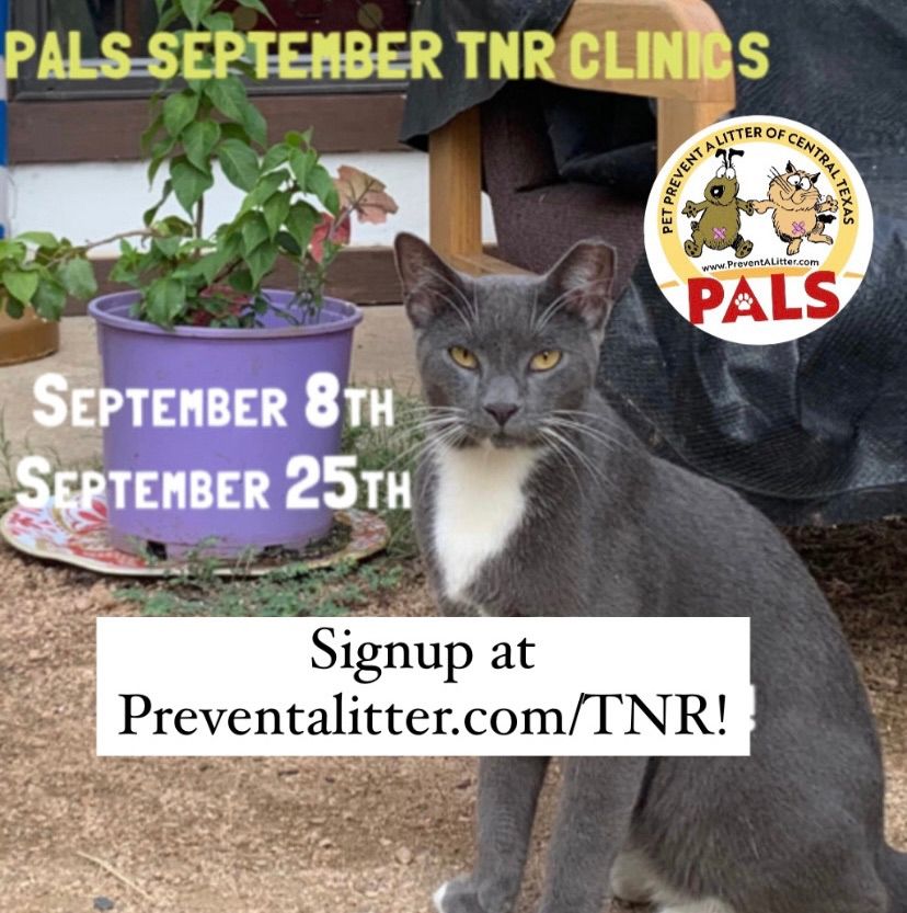 PALS September 25th TNR Clinic!