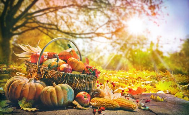 Family Harvest Bingo night in aid of 1st Woolsery Scout Group