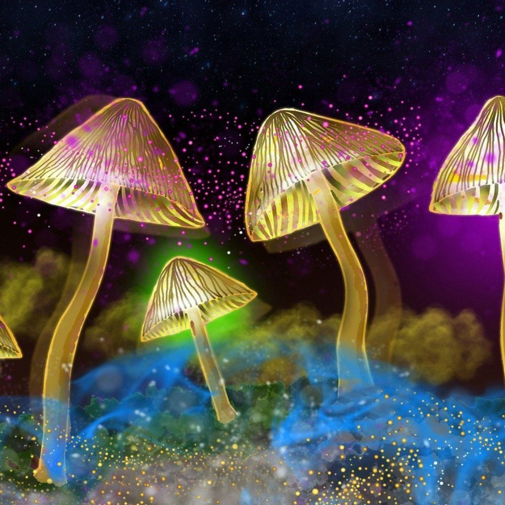 The Science of Magic Mushrooms with Dr Mourad Wahba