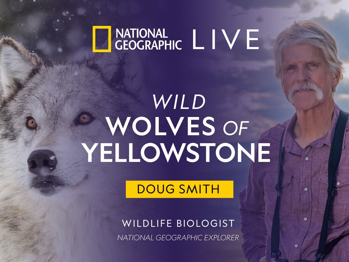 Doug Smith: Wild Wolves of Yellowstone