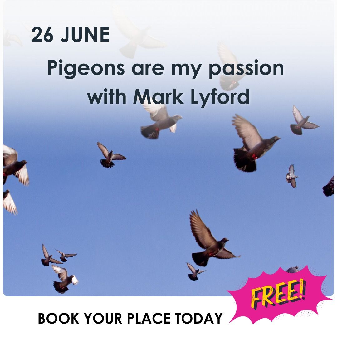 \u201cPigeons are my passion\u201d with Mark Lyford