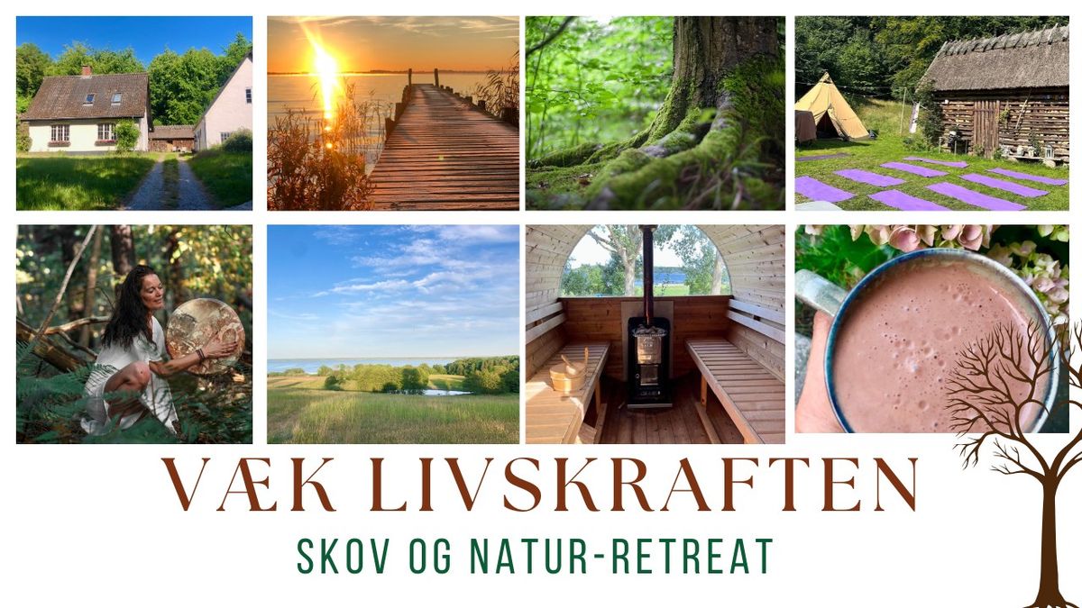 SKOV OG NATUR~RETREAT ~ Ro, n\u00e6rv\u00e6r i nordisk natur, saunagus og stilhed 