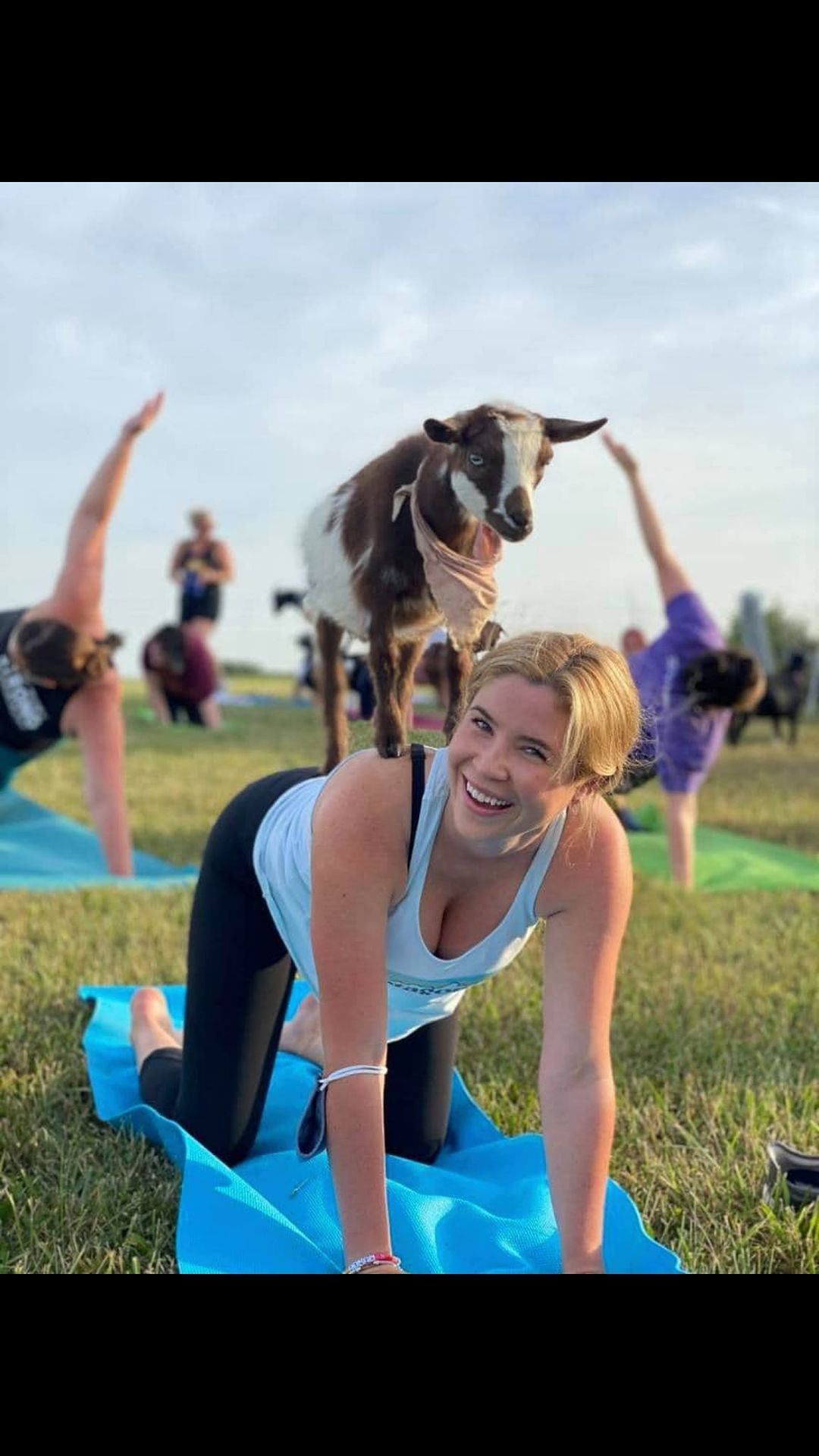 Goat Yoga at New Town, St. Charles, MO 