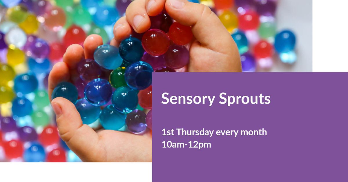 Sensory Sprouts - Mini makers Sensory Playtime 