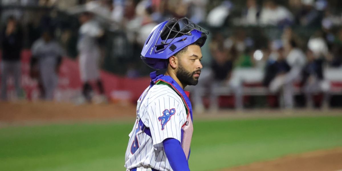 Parking Lansing Lugnuts at Wisconsin Timber Rattlers
