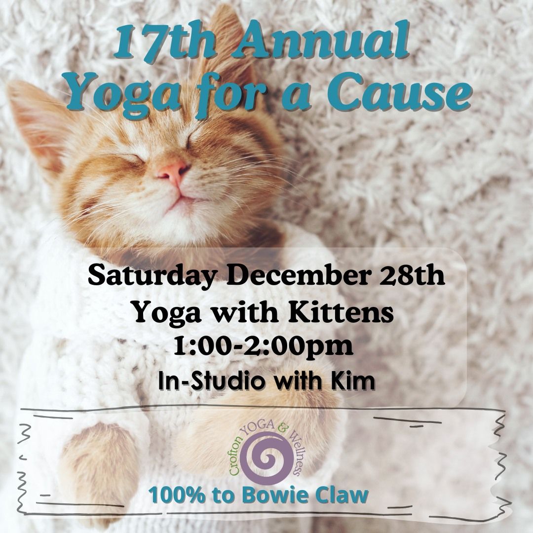 17th Annual Yoga for a Cause  Yoga with Kittnes for Bowie Claw