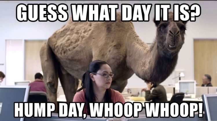 Hump Day Hoedown 