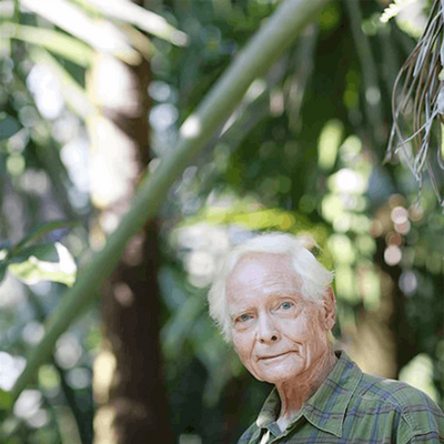 The Merwin Conservancy