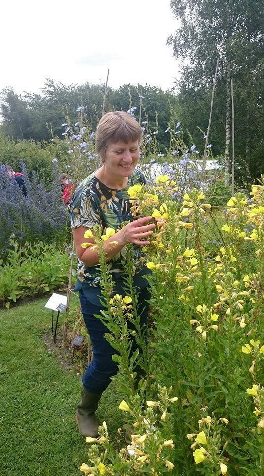 Herbalism Talk with Andrea Townhill.