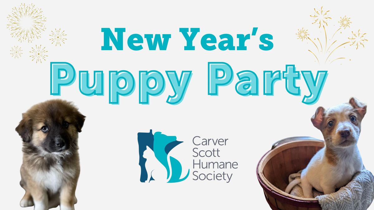 New Year's Puppy Party!