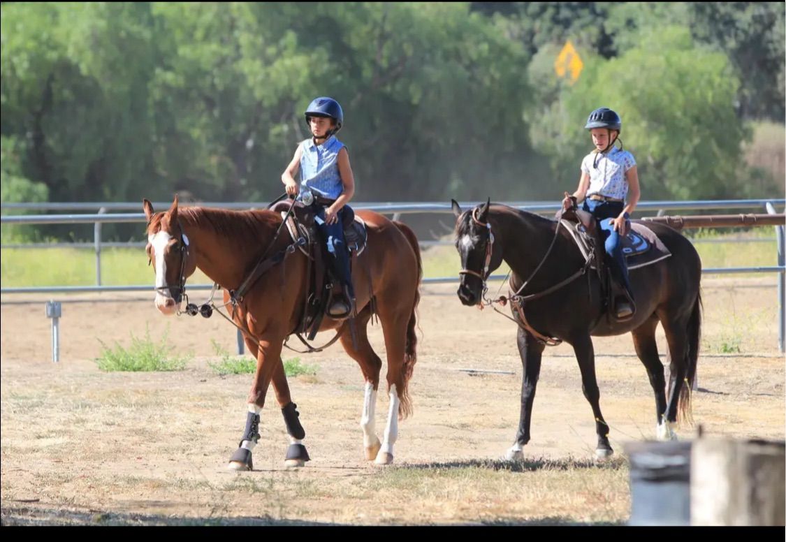 ETI Corral 37 Gymkhana 