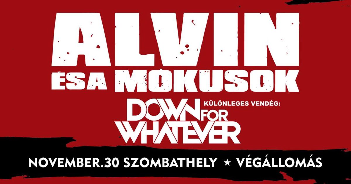 ALVIN \u00c9S A M\u00d3KUSOK \u2605 DOWN FOR WHATEVER \u2605 SZOMBATHELY