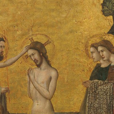 Equipa Saboreai e Vede