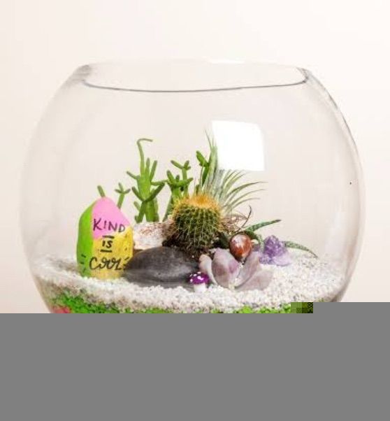 Terrarium making clinic